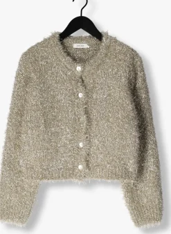 gouden knit-ted vest lynn cardigan