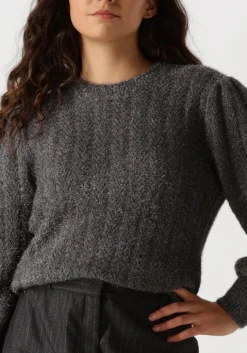 grijze aaiko trui femme pes 377