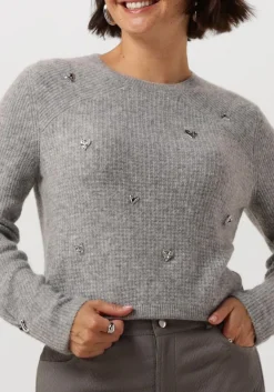 grijze caroline biss truien/vesten 4237