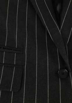 grijze co'couture blazer prescilla pin blazer