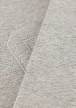 grijze co'couture sweater zoe coco sweat