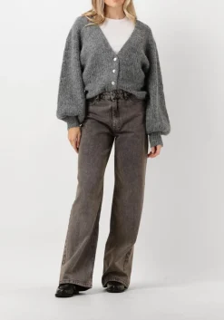 grijze co'couture vest corelie button knit