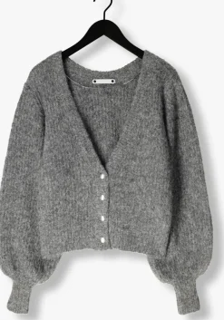 grijze co'couture vest corelie button knit