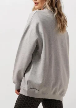 grijze deblon sports sweater puck sweater