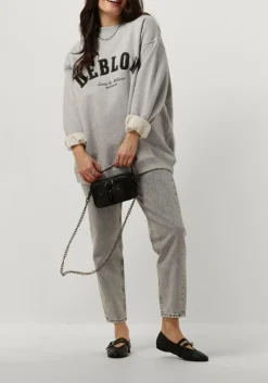 grijze deblon sports sweater puck sweater