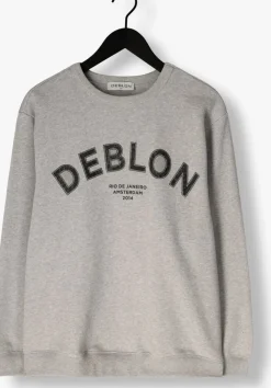 grijze deblon sports trui cathy sweater