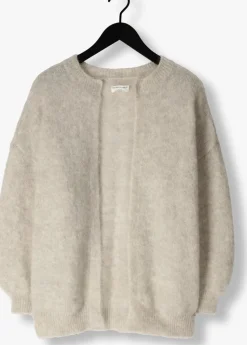 grijze des petits hauts vest altea