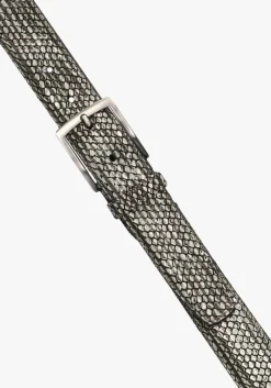 grijze floris van bommel riem cfm-10095 de belter