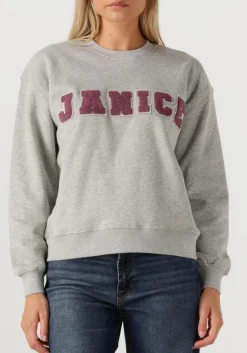 grijze janice sweater andy