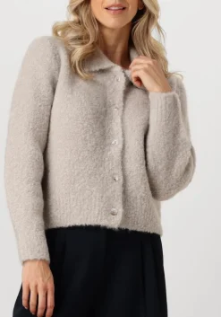 grijze knit-ted vest asa