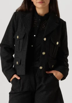 grijze suncoo jack darcy