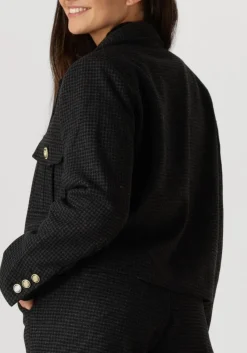 grijze suncoo jack darcy