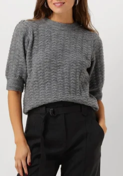 grijze suncoo trui pensee