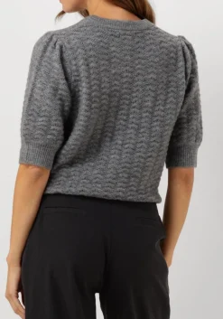 grijze suncoo trui pensee