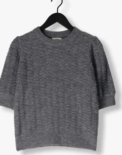 grijze suncoo trui pensee