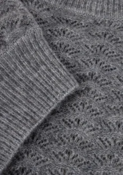 grijze suncoo trui pensee