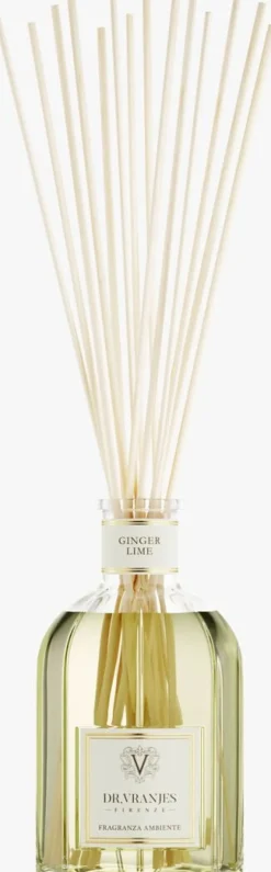 kleur n.v.t. dr. vranjes firenze geurstokjes ginger lime diffuser 1250ml