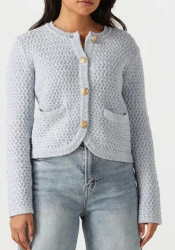 lichtblauwe vanessa bruno vest dorina