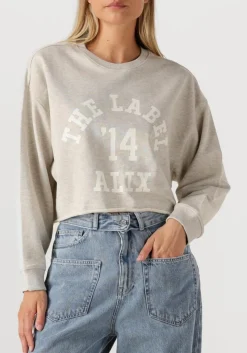 lichtgrijze alix the label trui ladies knitted soft sweater