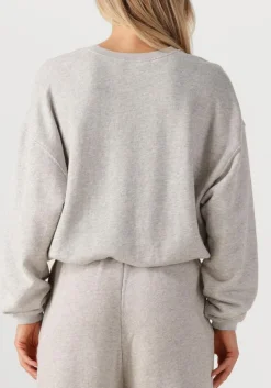 lichtgrijze american vintage sweater kodytown woman