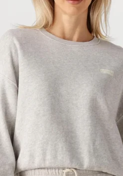 lichtgrijze american vintage sweater kodytown woman