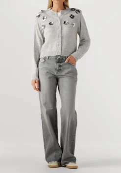 lichtgrijze dante6 vest fawn sequin cardigan