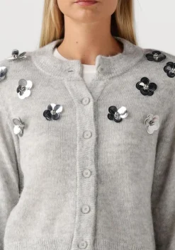 lichtgrijze dante6 vest fawn sequin cardigan