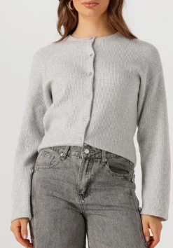 lichtgrijze penn & ink vest cardigan w25b345