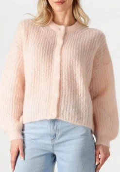 lichtroze des petits hauts trui alma