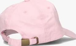 lichtroze the savage report pet cap