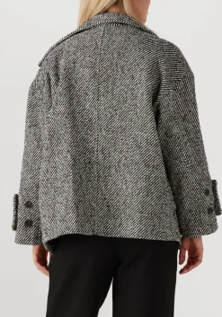 multi co'couture jack clara cropped jacket