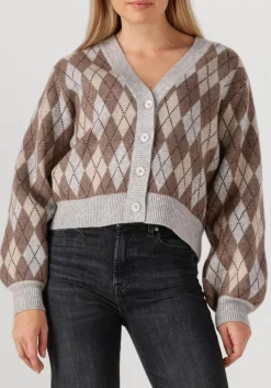 multi co'couture trui row check cardigan
