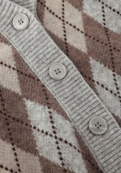 multi co'couture trui row check cardigan