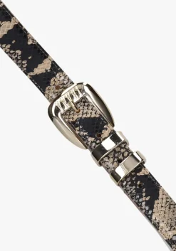 multi ibana riem acro snake