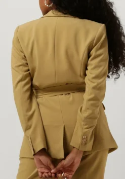 olijf aaiko blazer perize vis 333