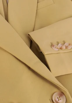 olijf aaiko blazer perize vis 333