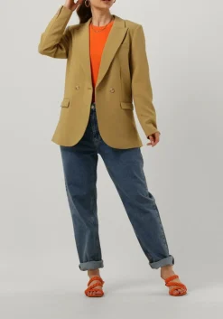 olijf aaiko blazer perize vis 333