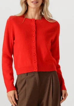 rode suncoo vest geski