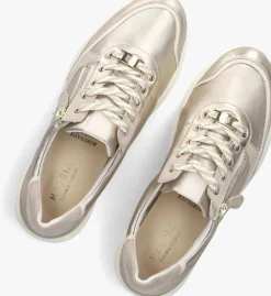 roségouden hassia lage sneakers bordeaux