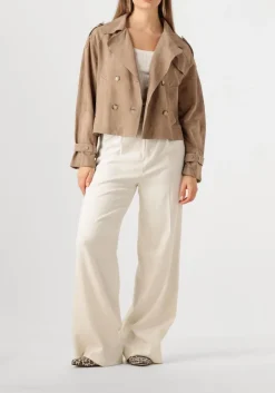 taupe alter ego jack florien