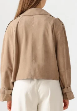 taupe alter ego jack florien