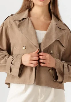 taupe alter ego jack florien