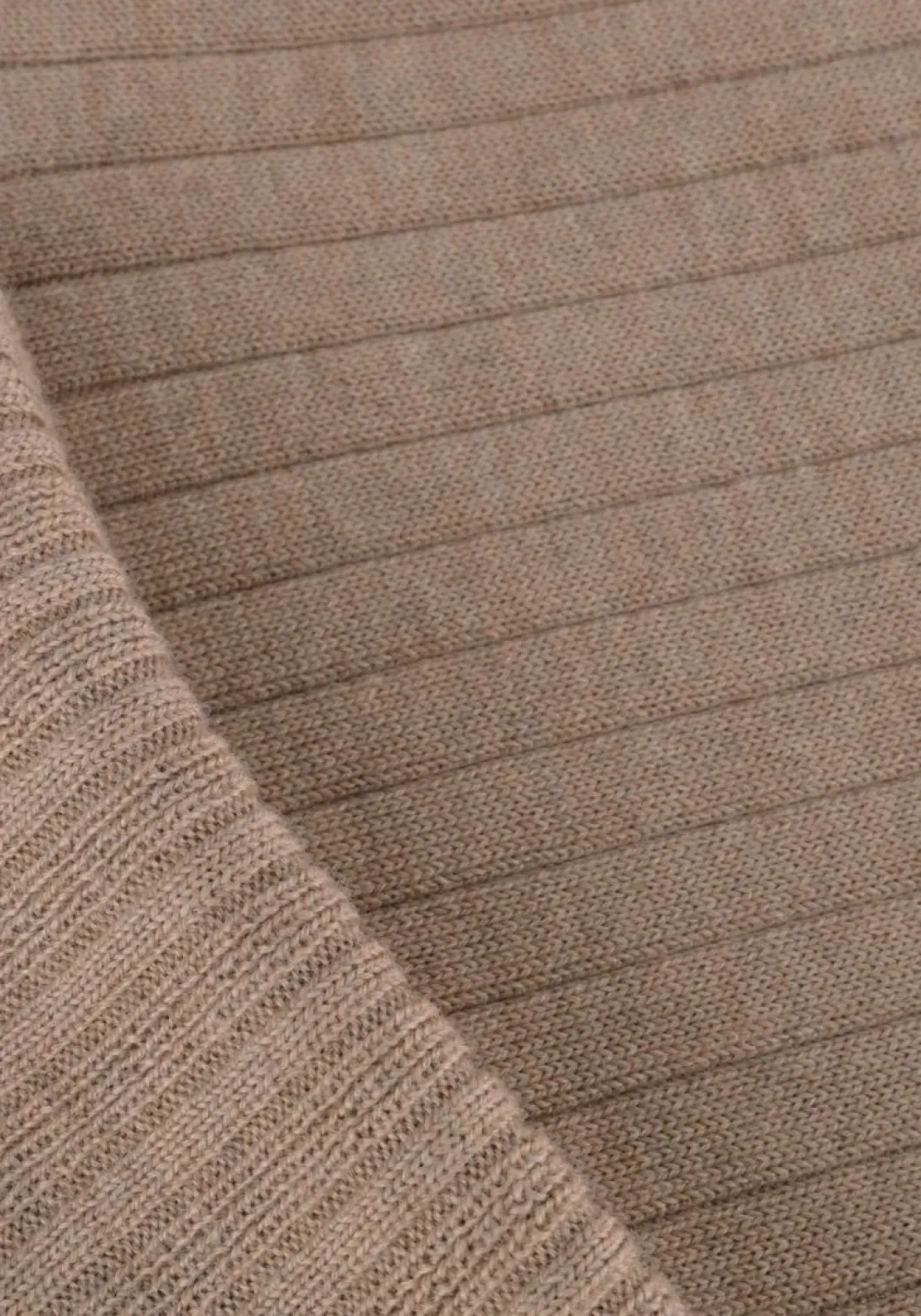 taupe bellamy coltrui lizzy