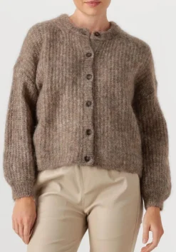 taupe des petits hauts trui alma