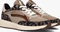 taupe floris van bommel lage sneakers sfw-10138 suvi