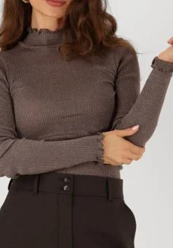 taupe rosemunde top boston turtleneck w/ lurex