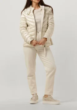 witte beaumont jack devi