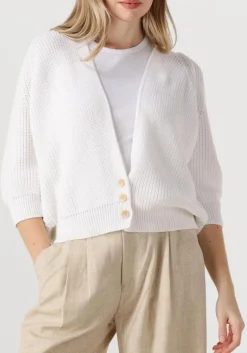 witte bellamy vest tessa