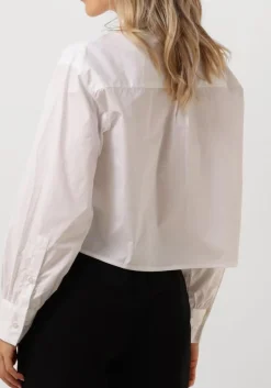 witte bruuns bazaar blouses cerastium feruz shirt