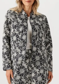 witte ibana jack jaidy